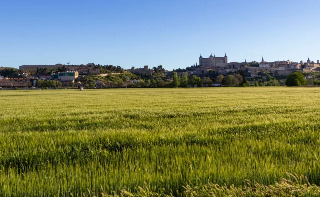 Campo de los Alemanes
