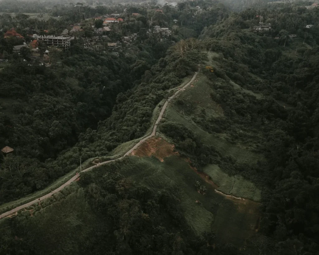 Campuhan Ridge Walk
