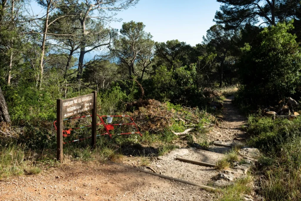 Cañadón de la Oveja