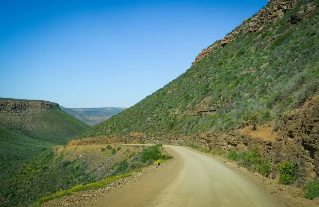 Cape Road (Cape Point)