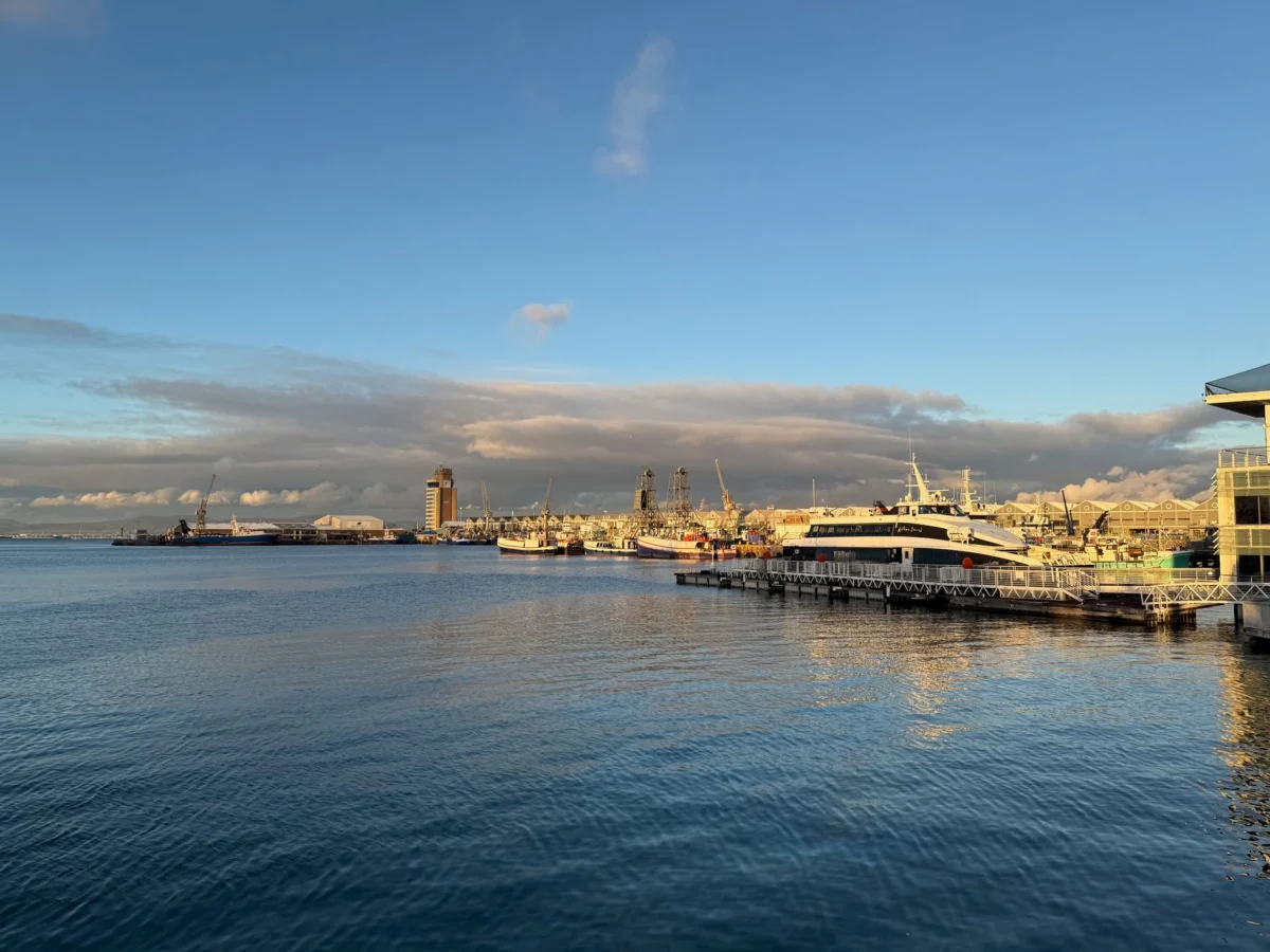 Cape Town skyline with waterfront at sunset, city view