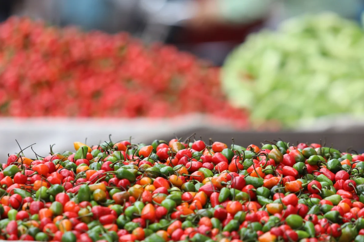 Colorful market scene in Cayenne showcasing local life