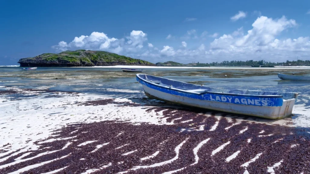 Chale Island