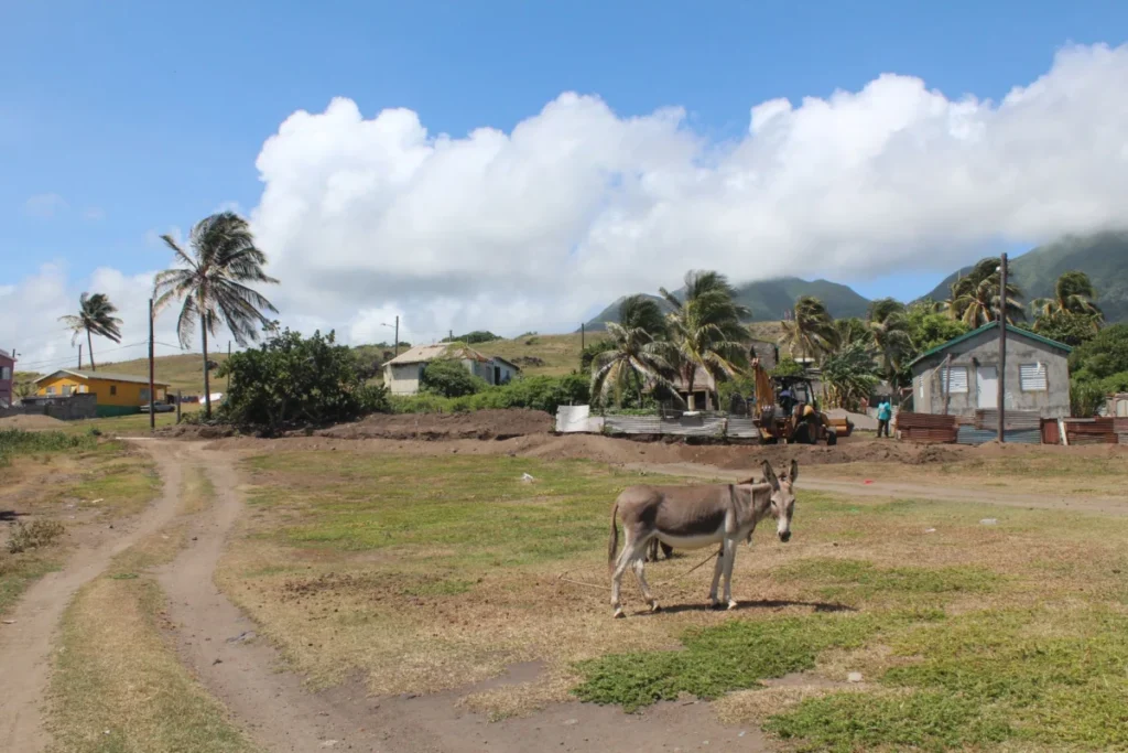 Charlestown (Basseterre)