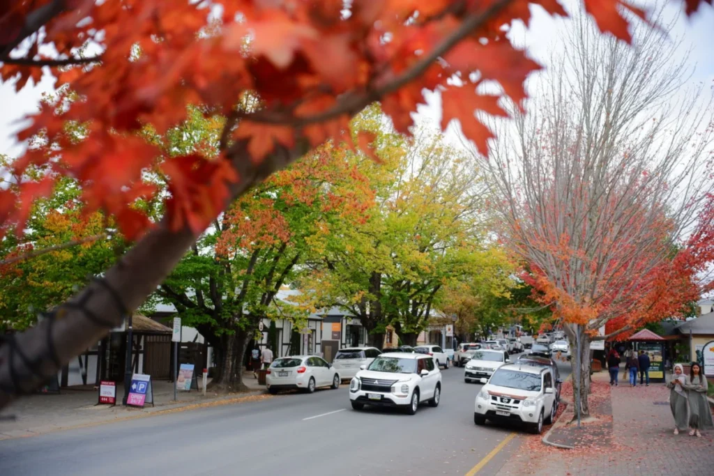 Victoria Falls Town (Chinotimba)