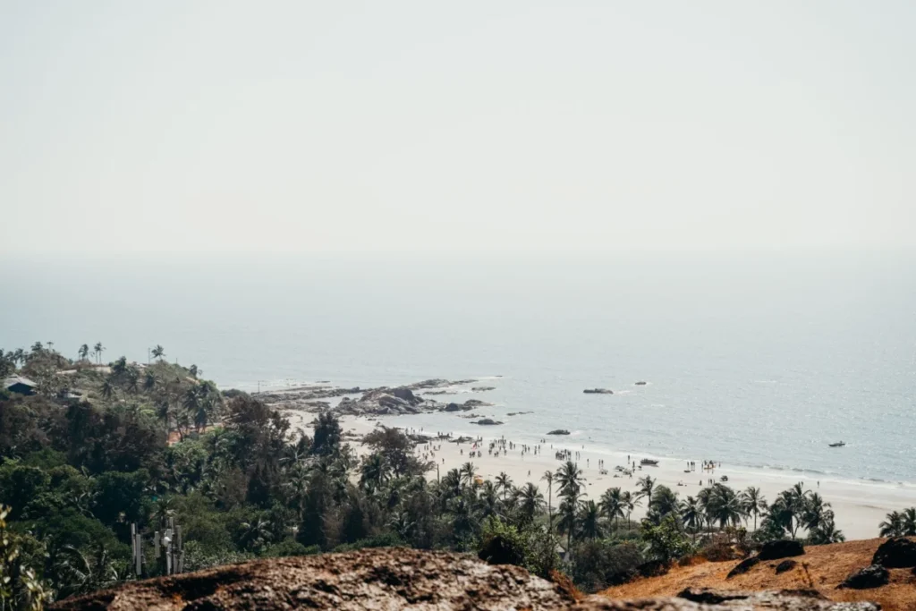 Chorão Island