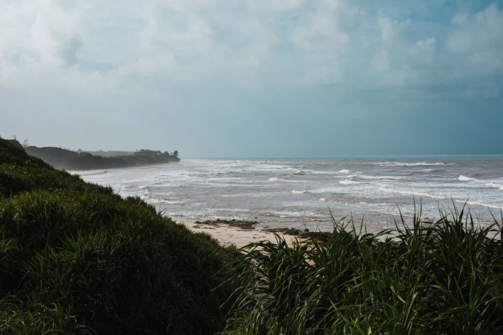 Coast Line
