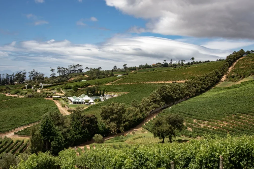 Constantia