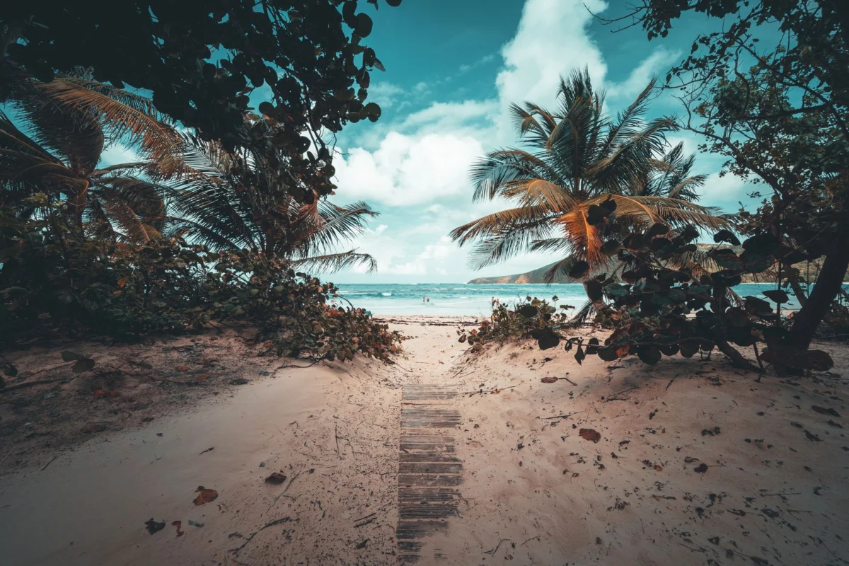 A panoramic view of Culebra's pristine beach and crystal-clear waters