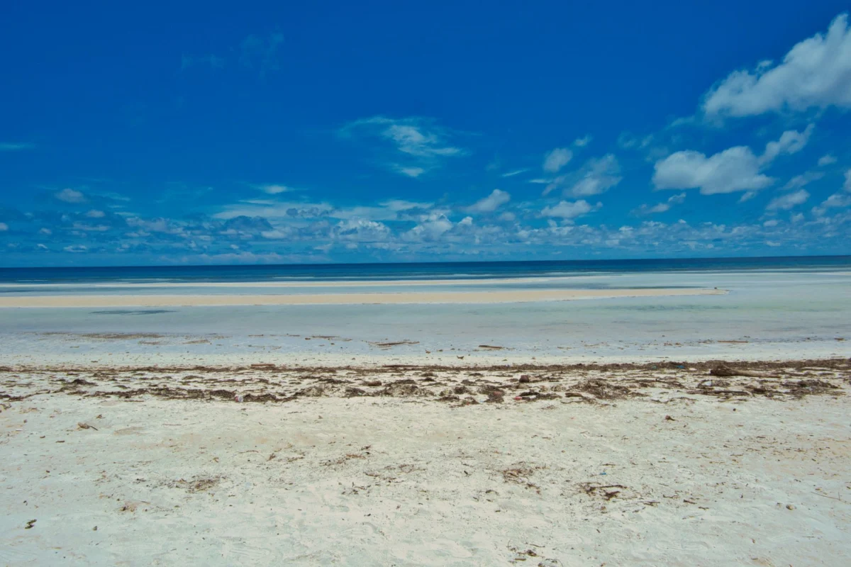Vibrant shoreline of Diani Beach with clear blue waters