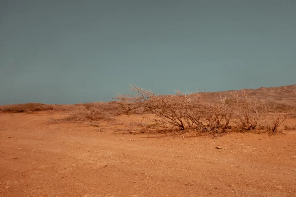 Dikhil Region
