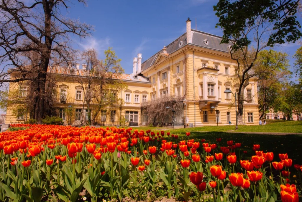 Doctor's Garden (Doktorska Gradina)