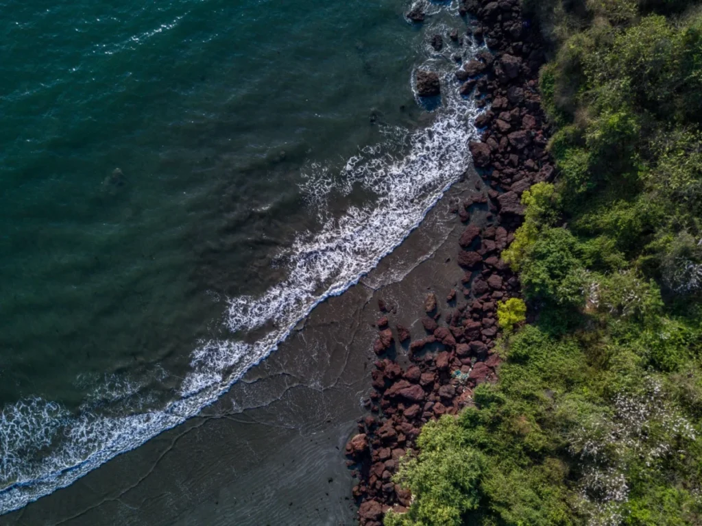 Dona Paula