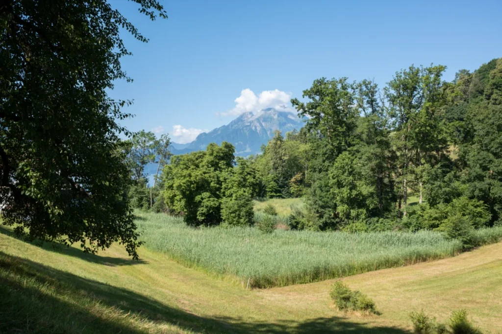 Dreilinden