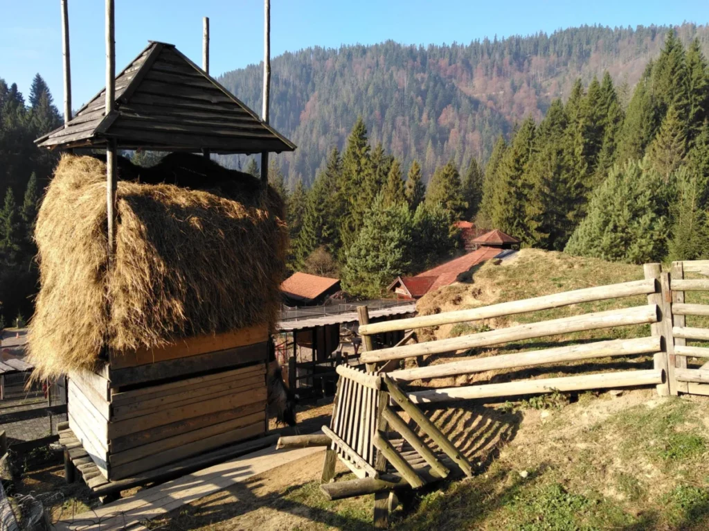 Drvengrad