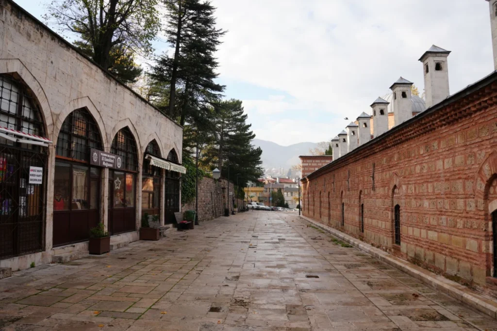 Dzepina