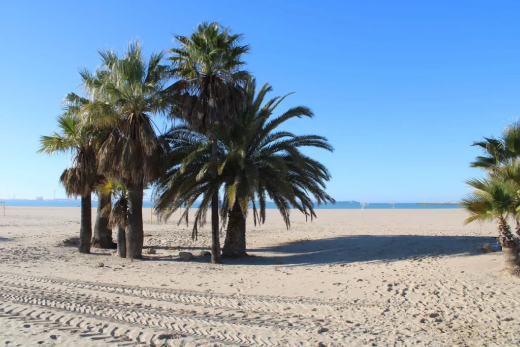 El Arenal