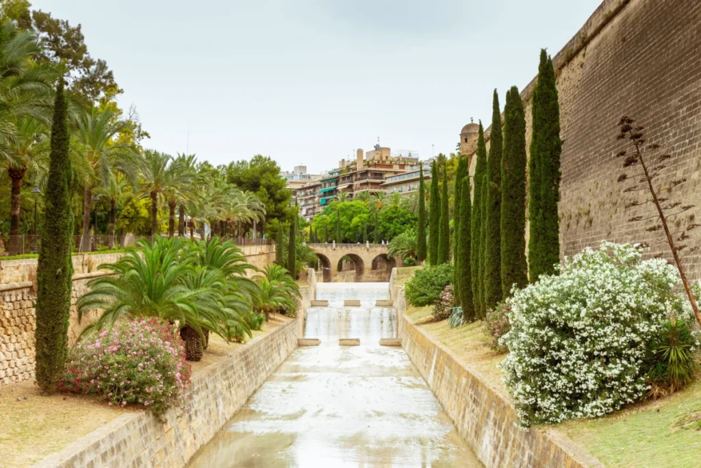 El Terreno