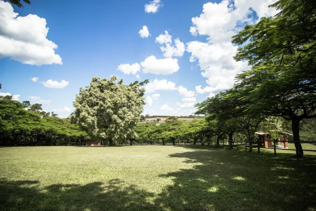 Estância Roque