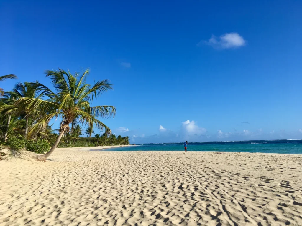 Flamenco Beach
