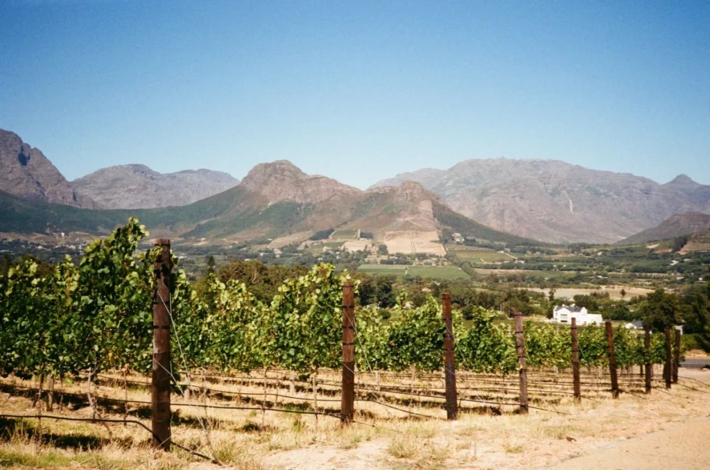 Franschhoek