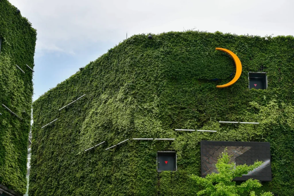 Fujisaki (Fukuoka)