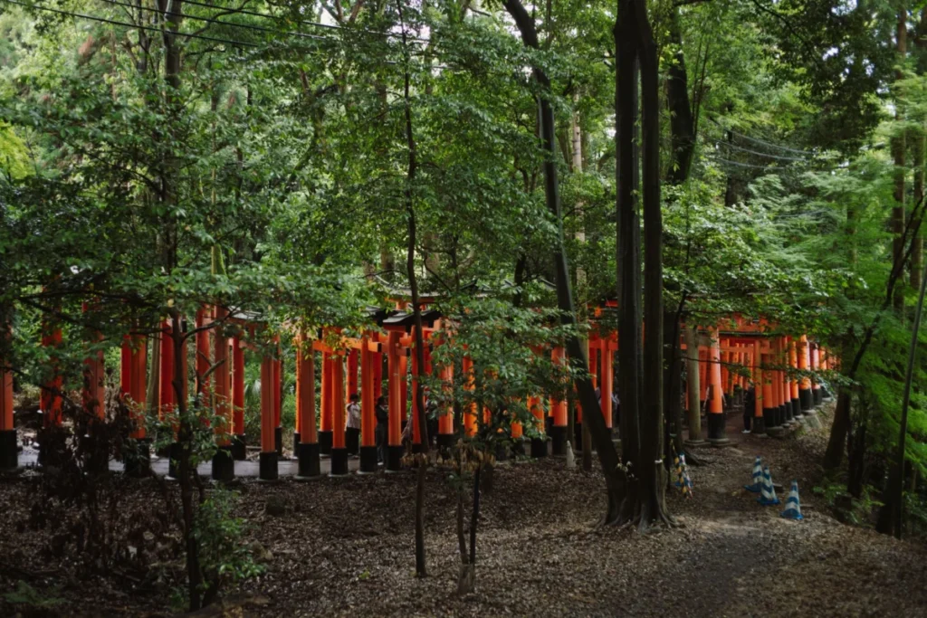 Fushimi (伏見)
