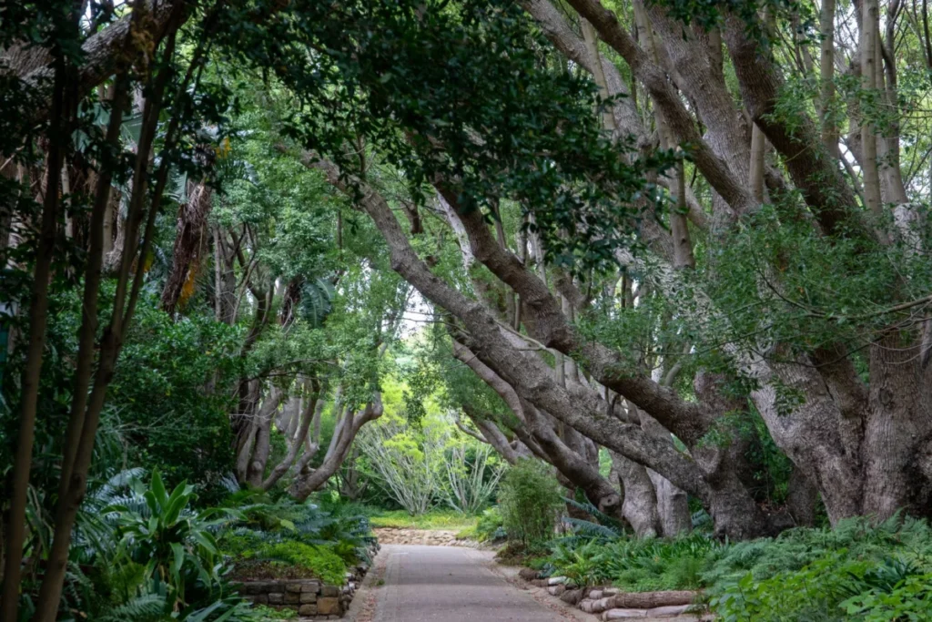 Gardens