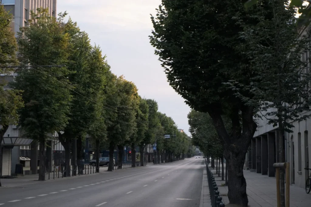 Gediminas Avenue (Gedimino prospektas)