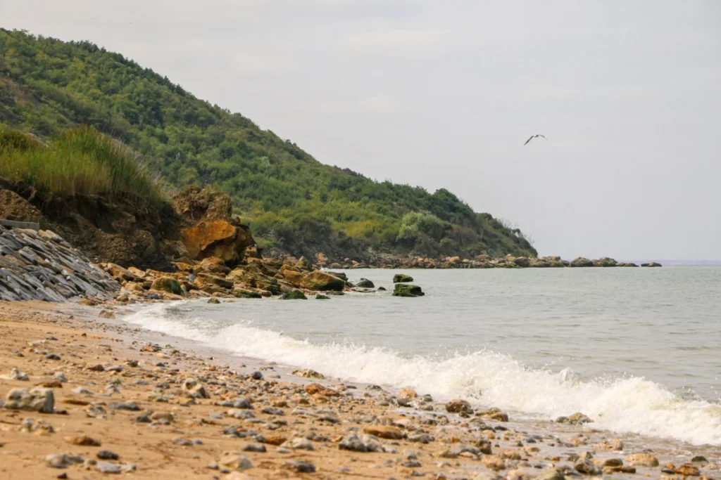 Goritsa