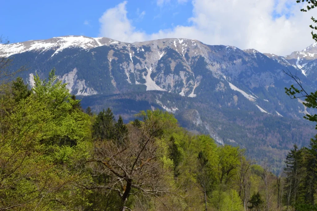Gorje