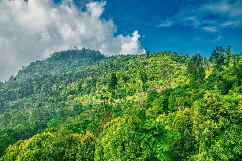 Gunung Raya