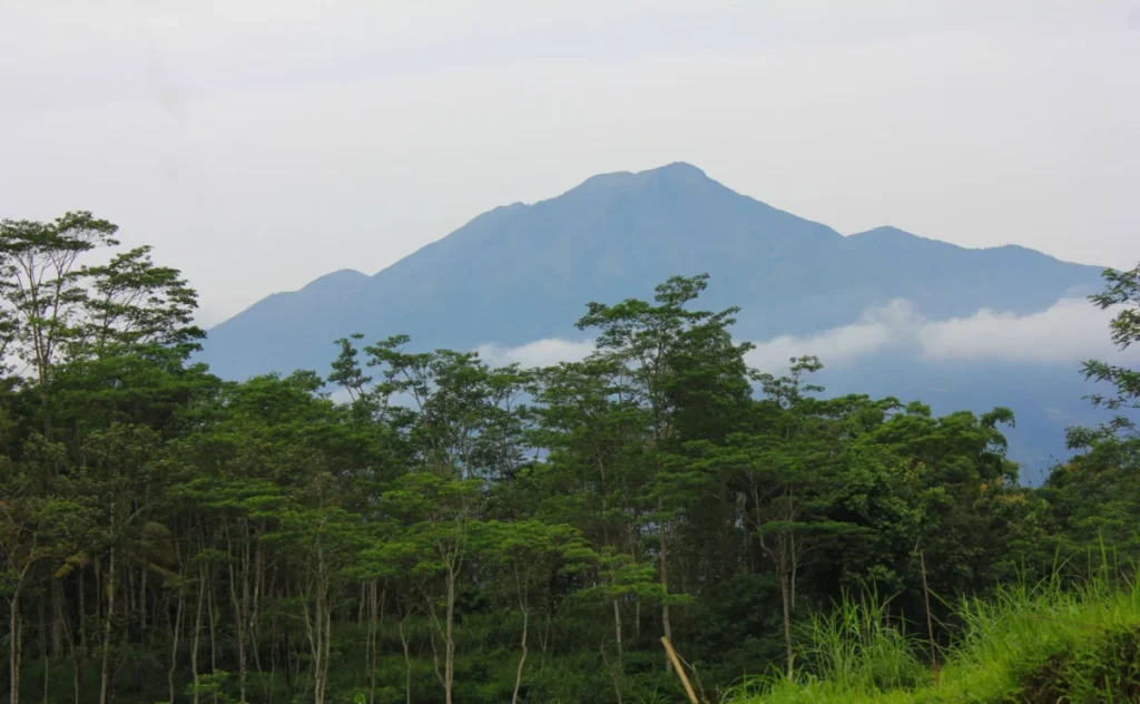 Gunung Raya
