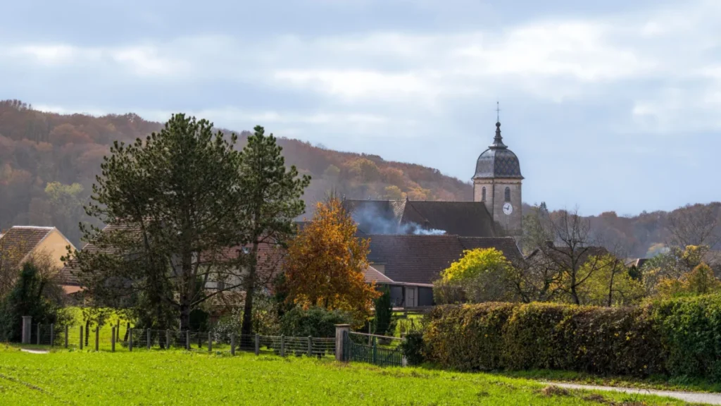 Haxby