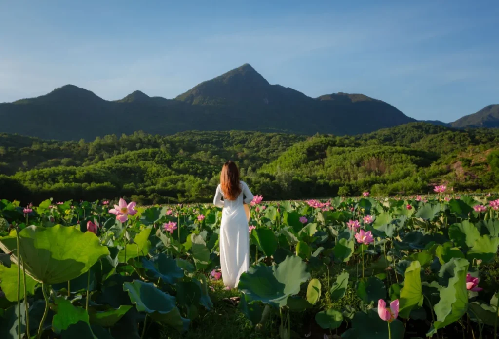 Hoi An Countryside