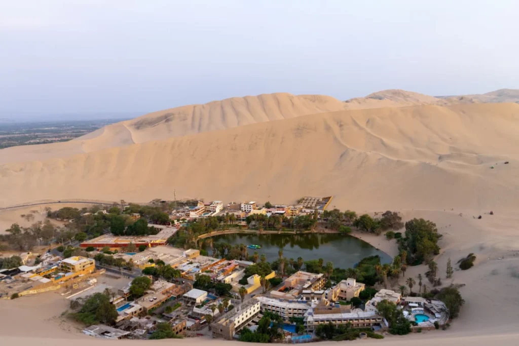 Oasis Center