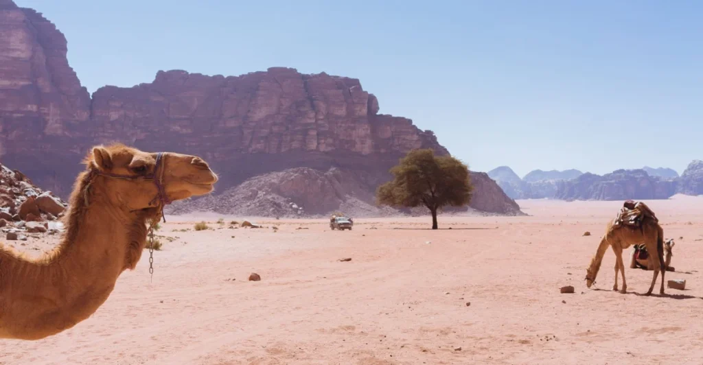Jebel Um Ishrin