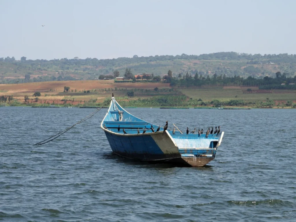 Jinja Central