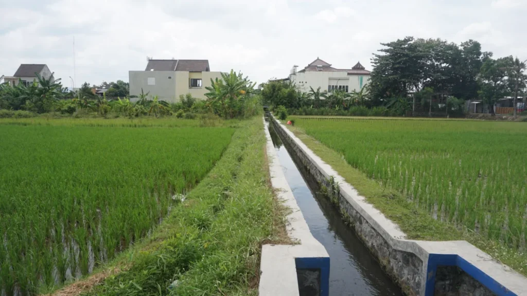 Junjungan
