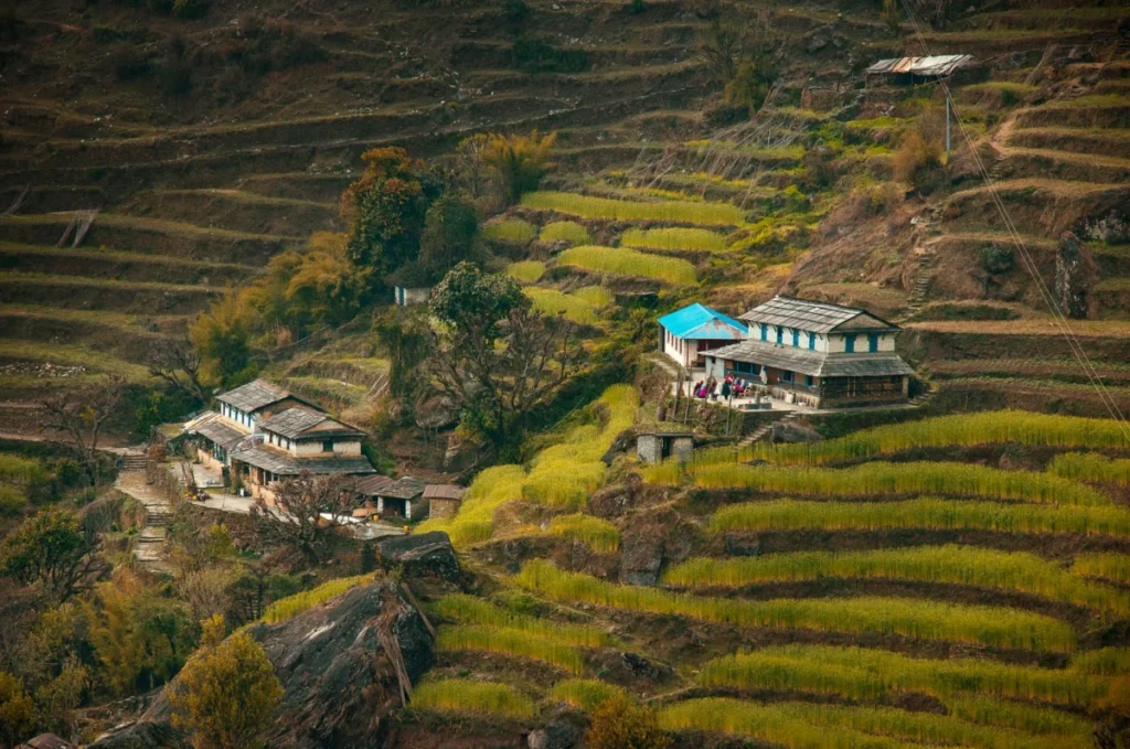 Kaskikot