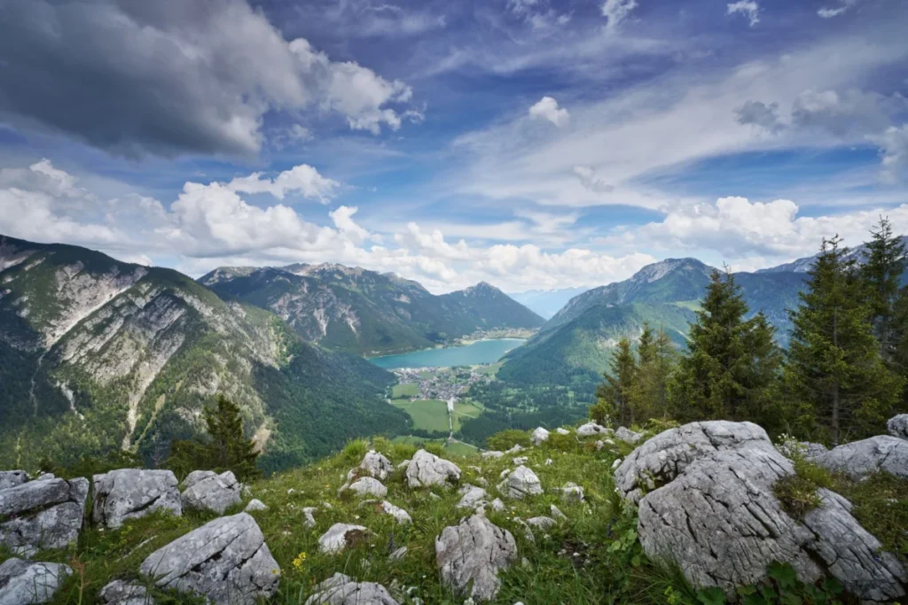 Kavač