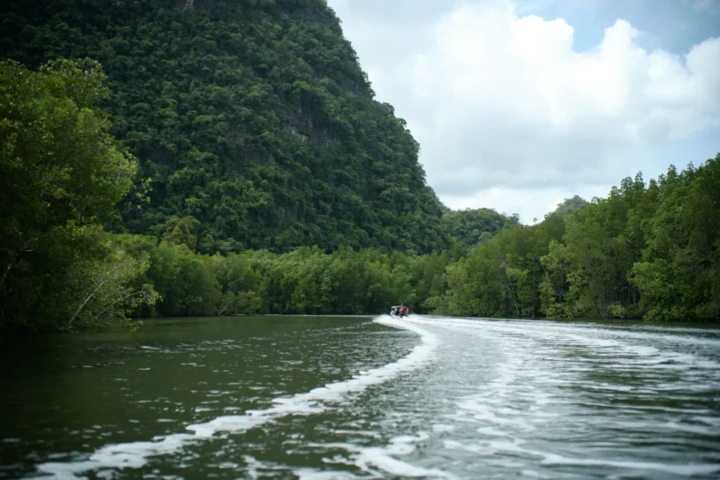 Kilim Karst Geoforest Park