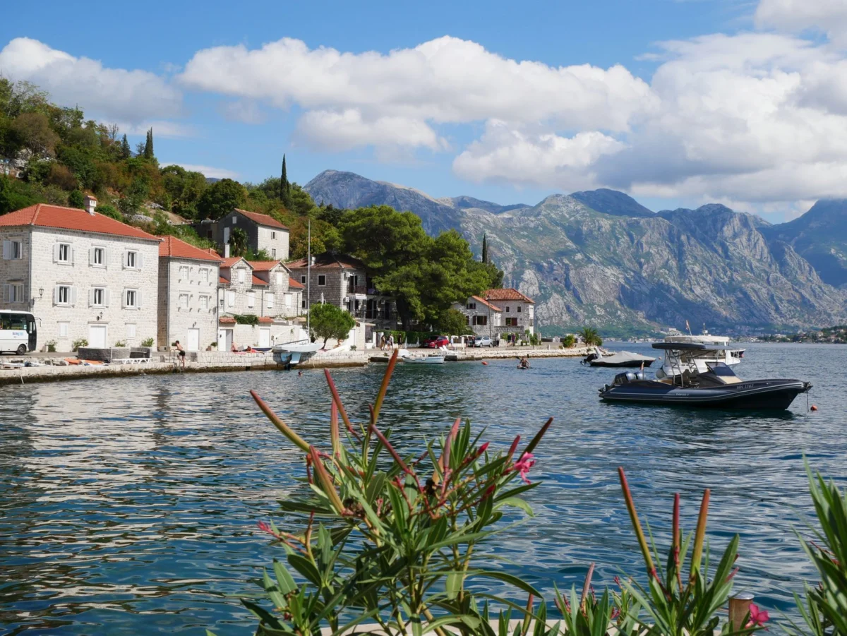Panoramic view of Kotor's historic old town and scenic bay