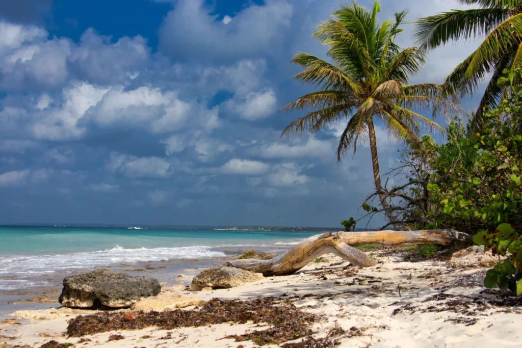 La Romana