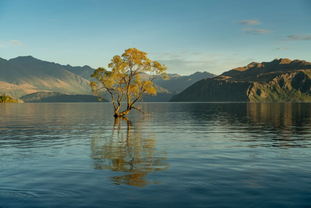 Lake Wanaka