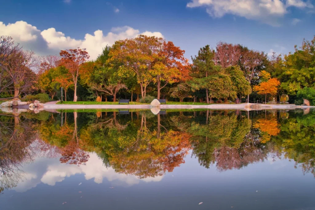 Laleh Park (پارک لاله)