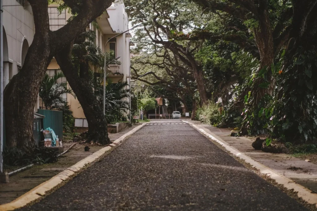 Lalovaea