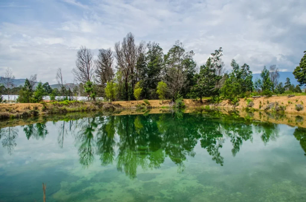Las Acacias