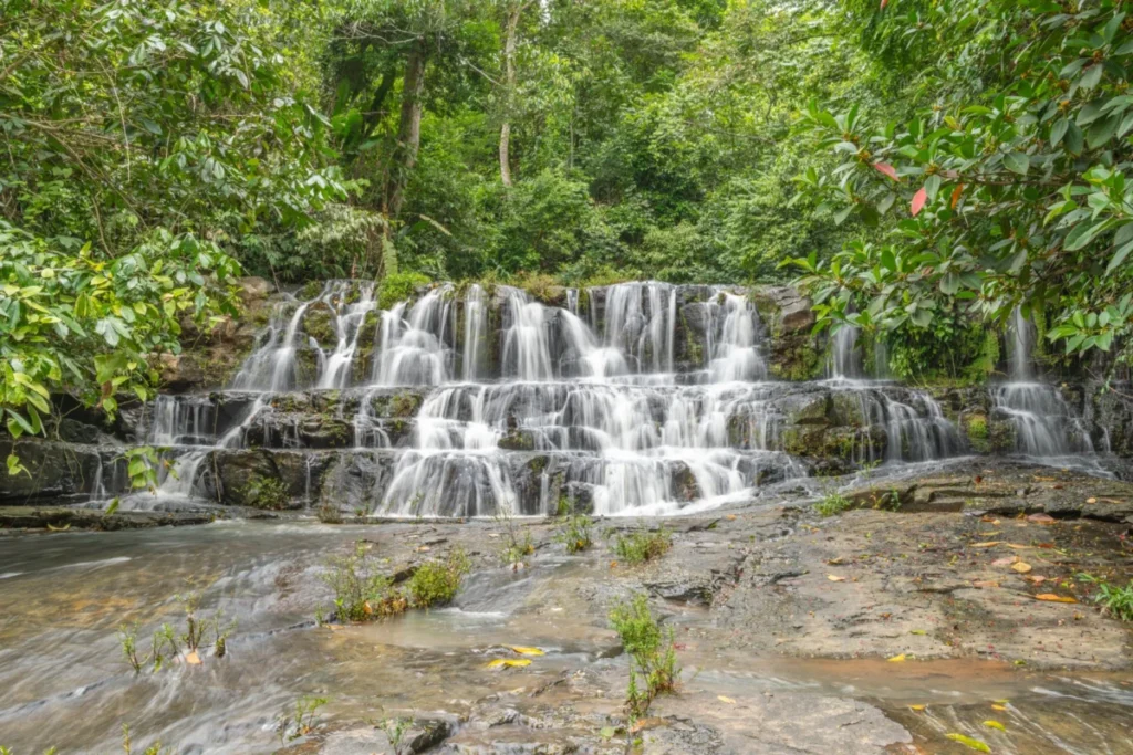 Likubula Forest Reserve