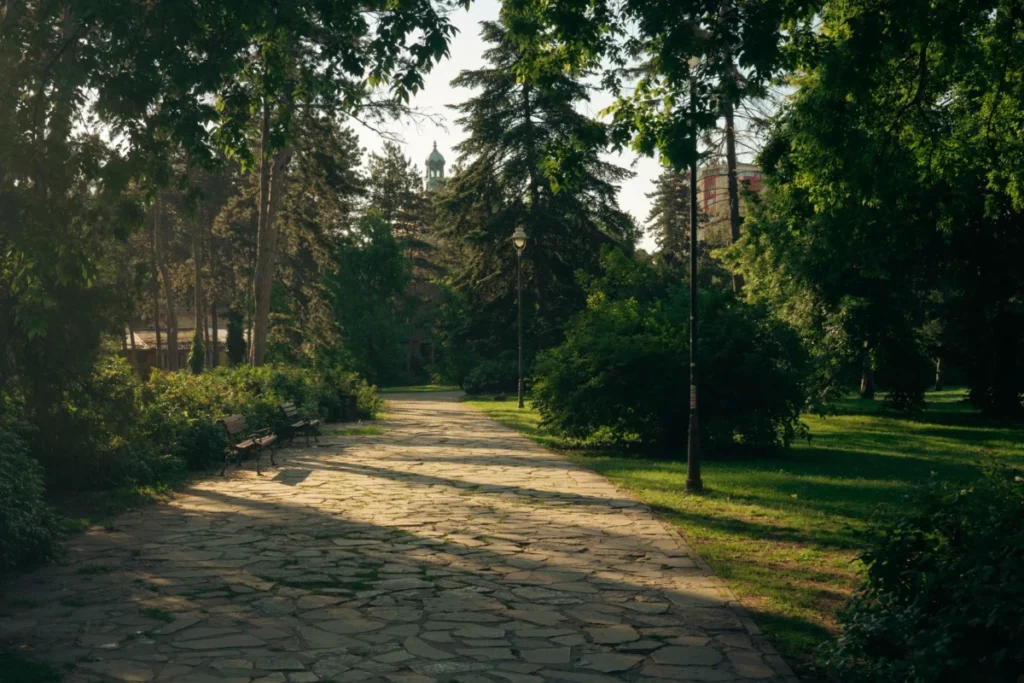 Limanski Park